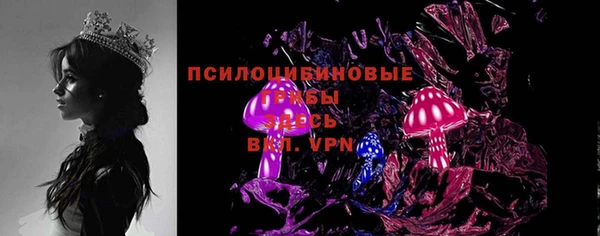 молекула духа Пролетарск