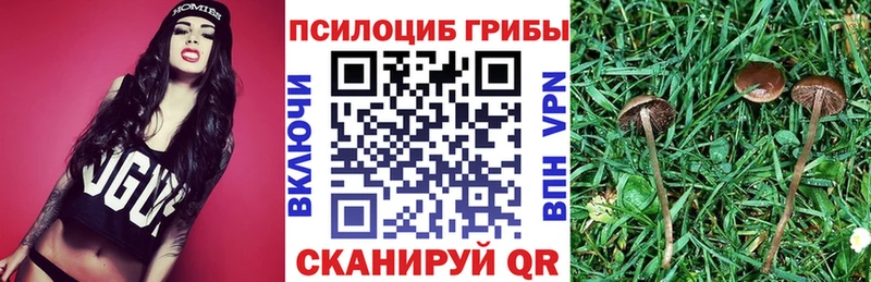 Галлюциногенные грибы прущие грибы  Оханск 